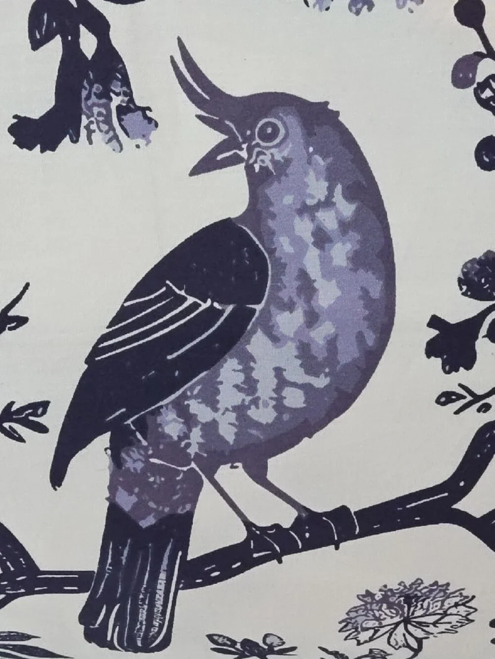 Brooklyn Loom Navy Blues Bird & Botanical Cotton King Pillow Shams